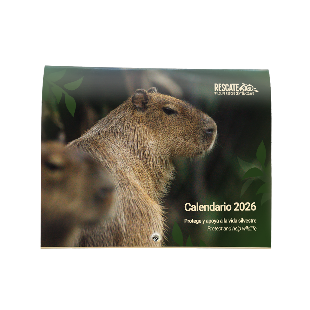 Calendario 2026 – Protege y ayuda a la vida silvestre de Costa Rica